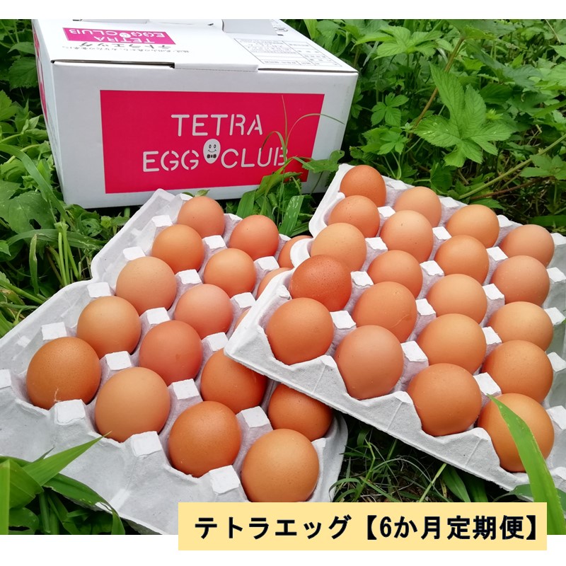 【ふるさと納税】テトラエッグ（40個/月）【6カ月定期便】 たまご 卵 玉子 濃厚 TKG たまごかけ 定期便 定期 6回  飯塚市 【F8-004】