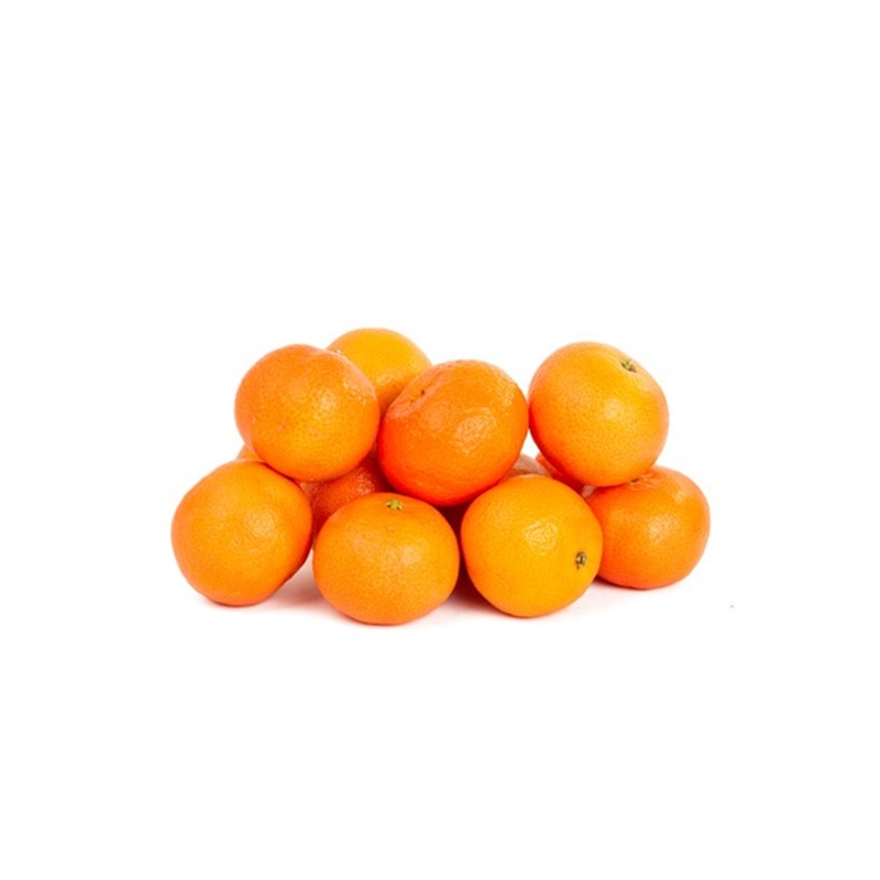 スーパーセール 有機肥料栽培 もぎたて新鮮 温州みかん 早生 11月発送開始分先行予約 Fucoa Cl