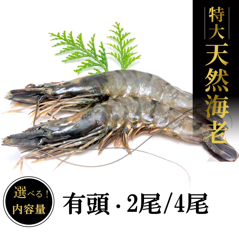 【ふるさと納税】＼内容量が選べる／特大 天然海老（有頭）2尾 4尾 魚介類 エビ えび 有頭海老  エビフライ 海鮮 塩焼き 冷凍 ブラックタイガー 特大 天然 パエリア パスタ エビマヨ 手巻き バーベキュー BBQ