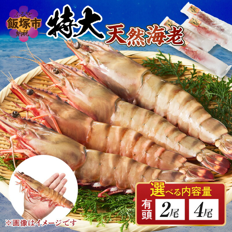 【ふるさと納税】\内容量が選べる/特大 天然海老(有頭)2尾 4尾 魚介類 エビ えび 有頭海老 エビフライ 海鮮 塩焼き 冷凍 ブラックタイガー 特大 天然 パエリア パスタ エビマヨ 手巻き バーベキュー BBQ|福岡県飯塚市