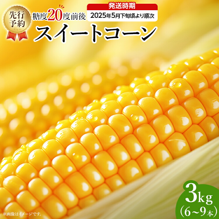 【ふるさと納税】とうもろこし スイートコーン 3kg（6~9本）野菜 コーン スーパースイートコーン 採れたて 糖度20度 【2025年5月下旬頃より順次発送予定】