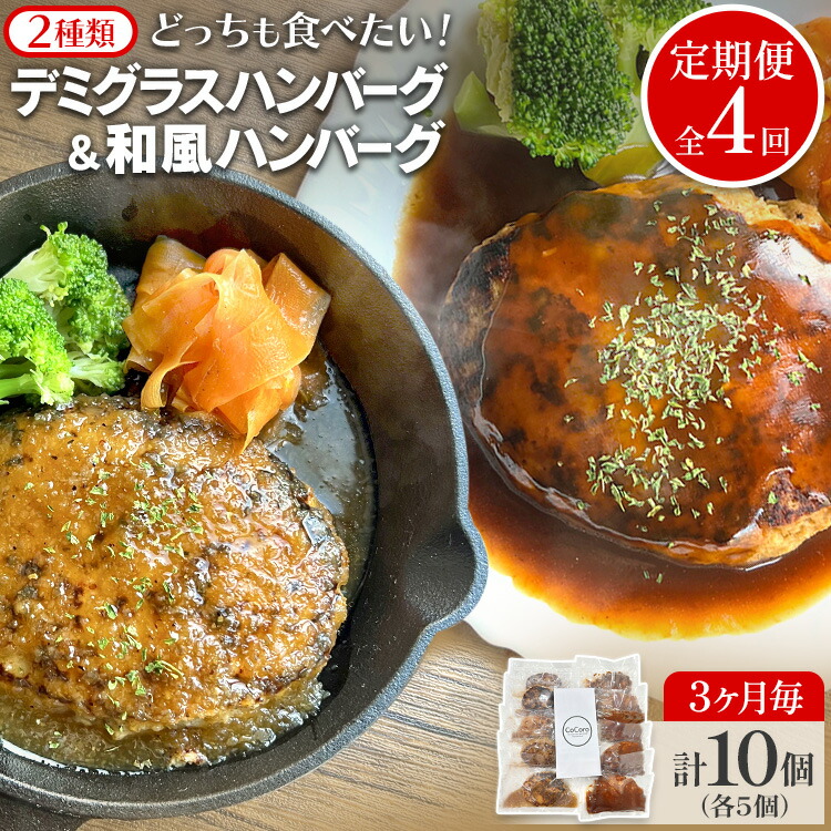 【ふるさと納税】【定期便】どっちも食べたい デミグラスハンバーグ＆和風ハンバーグ （合計4回） ハンバーグ 手ごね 和風 デミグラス 国産 晩御飯 おかず お弁当 冷凍 合挽 レンジ 温めるだけ レンチン 湯銭 二種 福岡 お土産 九州 福岡土産 福岡県｜福岡県田川市