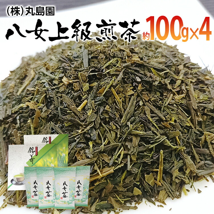 【ふるさと納税】八女上級煎茶(約100g×4) お取り寄せグルメ お取り寄せ 福岡 お土産 九州 ご当地グルメ 福岡土産 取り寄せ グルメ 福岡県 食品|福岡県田川市