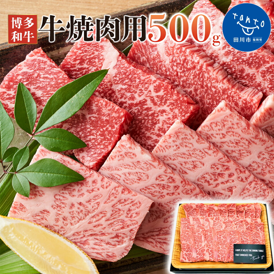 【ふるさと納税】博多和牛焼肉用 500g お取り寄せグルメ お取り寄せ 福岡 お土産 九州 ご当地グルメ 福岡土産 取り寄せ 福岡県 食品|福岡県田川市