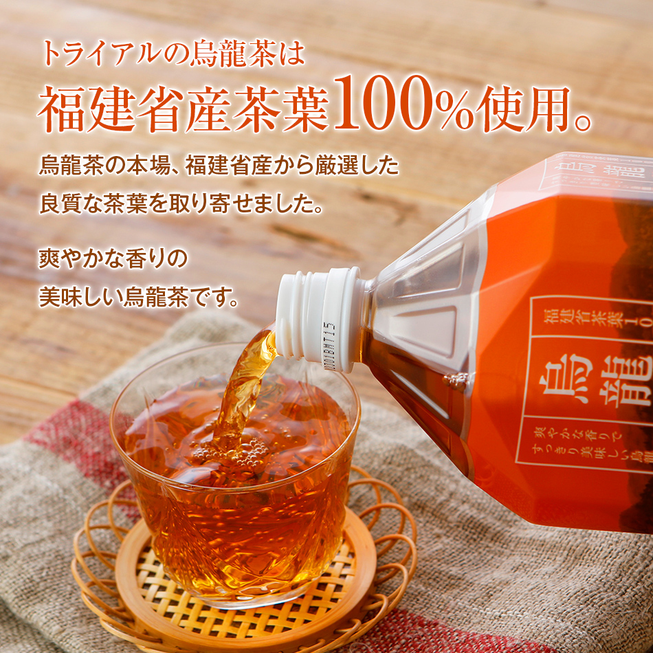 上品なスタイル トライアルのお茶飲み比べセット 緑茶2L×6本 烏龍茶2L×6本 を3か月連続でお届け 飲料 ソフトドリンク 福岡県 食品  qdtek.vn