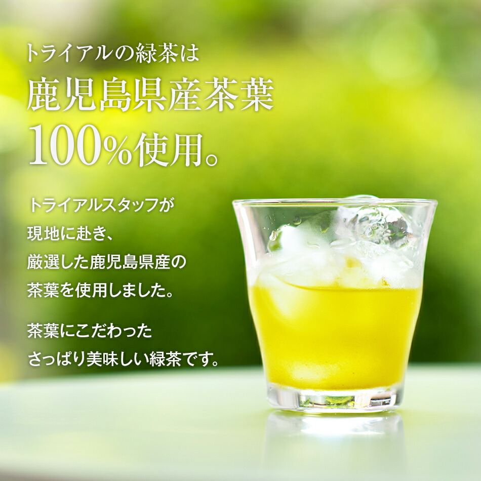 SALE／61%OFF】 お茶トライアルのお茶満載セット 緑茶2L×6本 烏龍茶2L×6本 緑茶500ml×24本 を2か月に1回 合計3回お届け  飲料 ソフトドリンク 福岡県 食品 fahrschule-witte.de