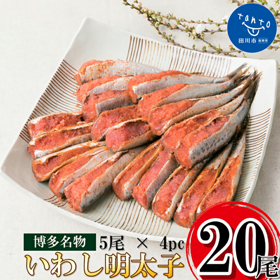 市場 ふるさと納税 5尾 4pc お取り寄せグルメ 福岡 お土産 いわし明太子 お取り寄せ 化粧箱入り 尾