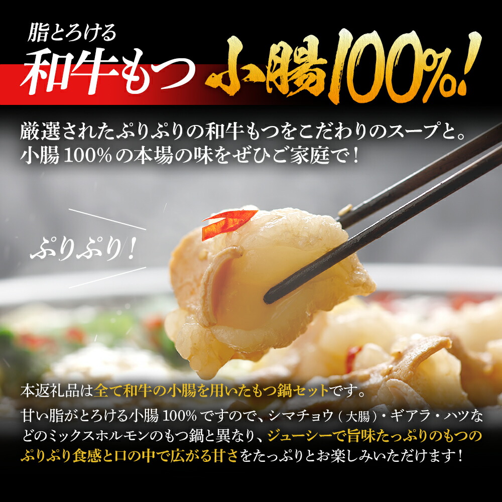 【ふるさと納税】国産牛もつ鍋2人前×6セット(醤油味)サンライズミートお取り寄せグルメお取り寄せ福岡お土産九州ご当地グルメ福岡土産取り寄せグルメごはんのおとも福岡県食品