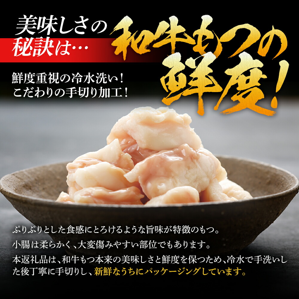 【ふるさと納税】国産牛もつ鍋2人前×6セット(醤油味)サンライズミートお取り寄せグルメお取り寄せ福岡お土産九州ご当地グルメ福岡土産取り寄せグルメごはんのおとも福岡県食品