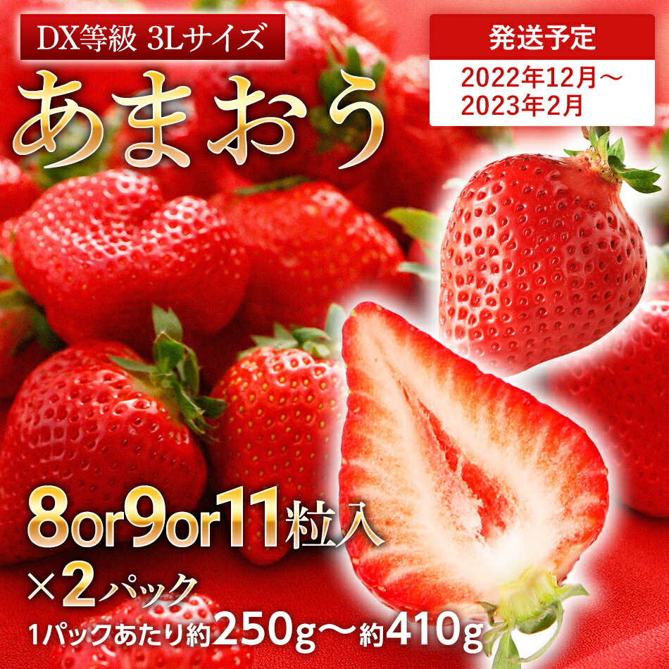 7000円 ブランド品専門の あまおう 8or9or11粒入り×2パック 1パックあたり約250g〜約410g いちご 苺 福岡 先行受付  2022年12月〜2023年2月にかけて順次出荷予定 高級 フルーツ お取り寄せ ご当地グルメ 福岡土産 取り寄せ グルメ 福岡県 食品 社会福祉法人  猪位金福祉会