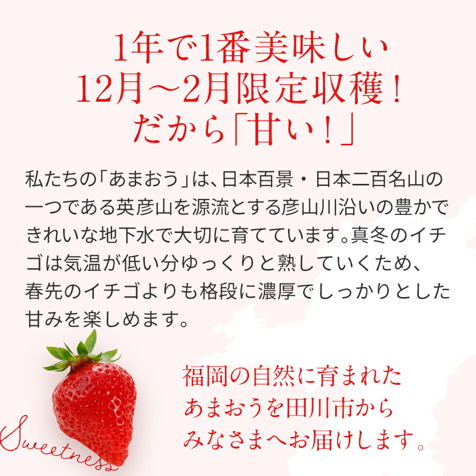 7000円 ブランド品専門の あまおう 8or9or11粒入り×2パック 1パックあたり約250g〜約410g いちご 苺 福岡 先行受付 2022年 12月〜2023年2月にかけて順次出荷予定 高級 フルーツ お取り寄せ ご当地グルメ 福岡土産 取り寄せ グルメ 福岡県 食品 社会福祉法人  猪位金福祉会