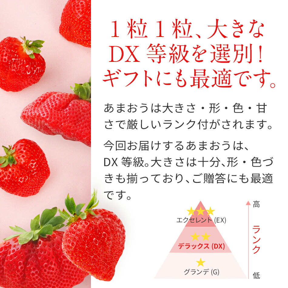 7000円 ブランド品専門の あまおう 8or9or11粒入り×2パック 1パックあたり約250g〜約410g いちご 苺 福岡 先行受付  2022年12月〜2023年2月にかけて順次出荷予定 高級 フルーツ お取り寄せ ご当地グルメ 福岡土産 取り寄せ グルメ 福岡県 食品 社会福祉法人  猪位金福祉会