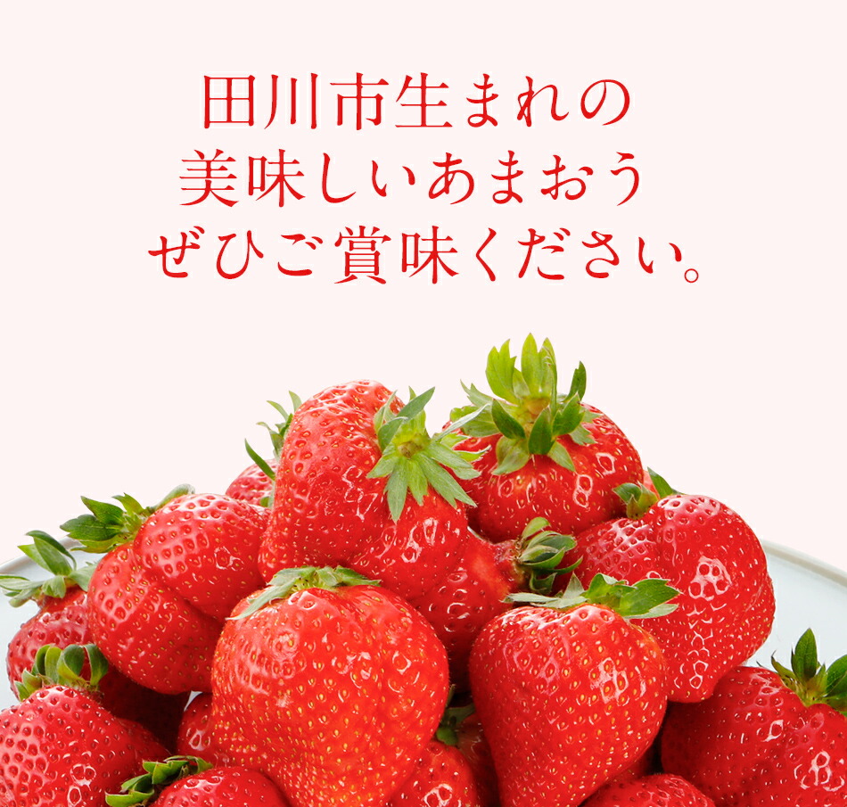 7000円 ブランド品専門の あまおう 8or9or11粒入り×2パック 1パックあたり約250g〜約410g いちご 苺 福岡 先行受付 2022年 12月〜2023年2月にかけて順次出荷予定 高級 フルーツ お取り寄せ ご当地グルメ 福岡土産 取り寄せ グルメ 福岡県 食品 社会福祉法人  猪位金福祉会
