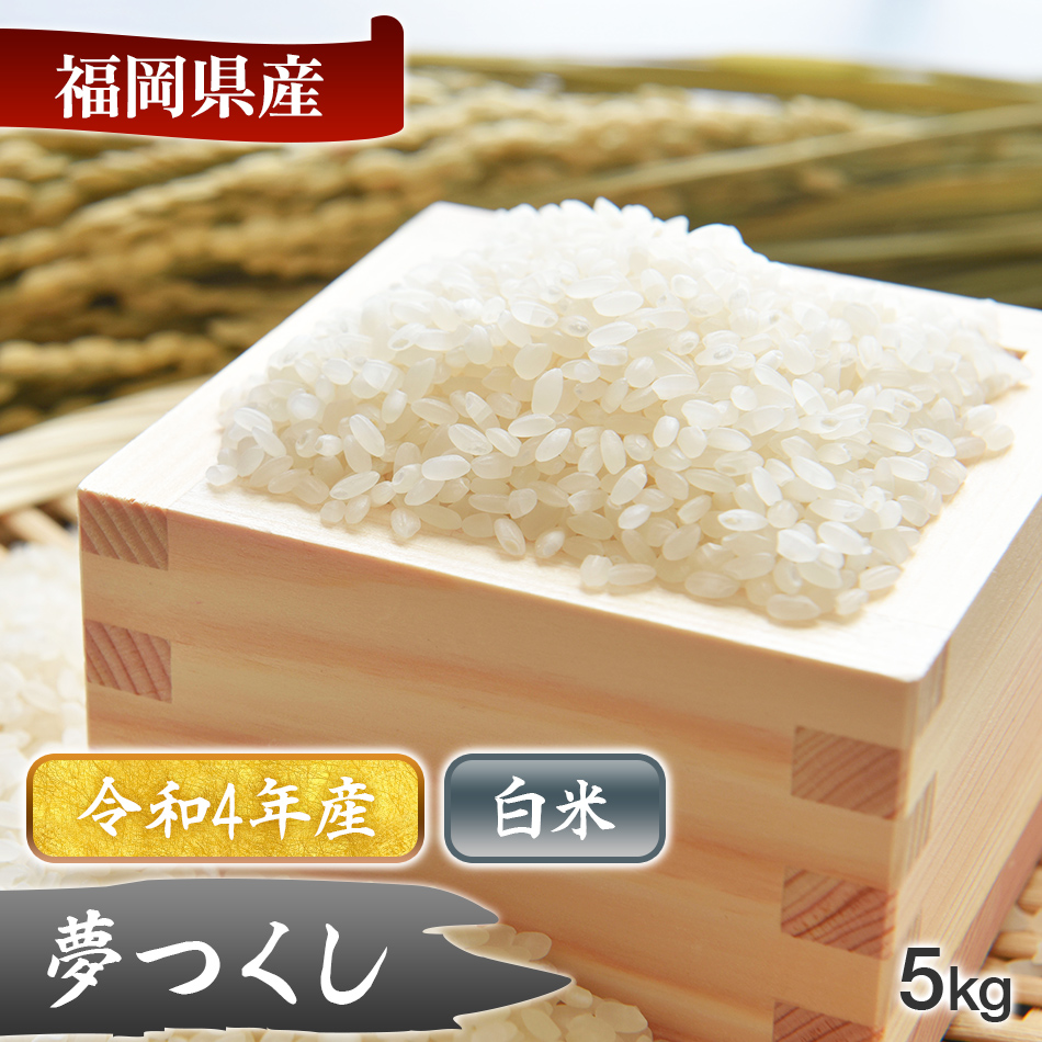 福岡県産米 元気つくし5kg お米　白米　厳選米　最安値