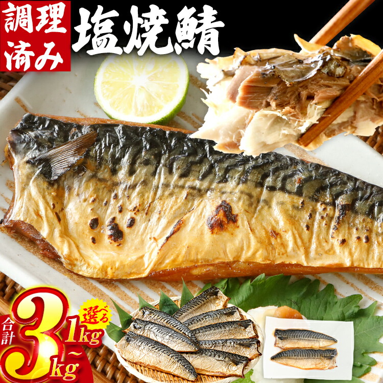【ふるさと納税】【レビューキャンペーン】さば  鯖  塩サバ 塩焼鯖 約1kg～3kg 選べる容量 大ぶり 魚 海産物 魚介 海鮮 惣菜 和食 レンチン 調理済 調理済み 温めるだけ 脂のり 晩御飯 おかず ジューシー 冷凍 お弁当 レンジ調理 サバ 自社製造 CP2503HM