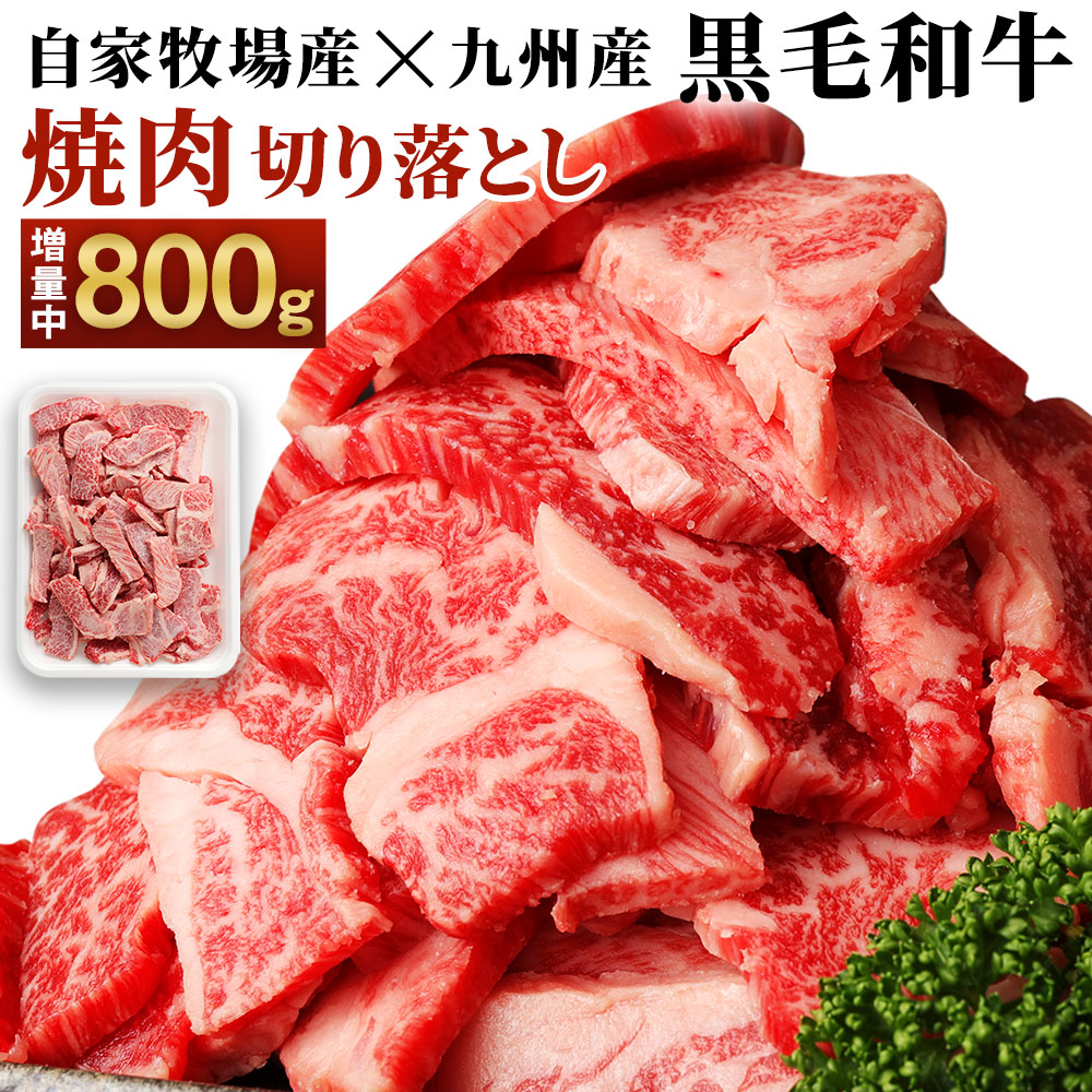 即出荷】 黒毛和牛 スライス 2部位セット 合計600g 300g×各1パック 2種類 赤身 霜降り A5ランク 薄切り肉 豊作ファーム産 牛肉 和牛  お肉 スライス済み 九州産 福岡県産 国産 冷凍 送料無料 fucoa.cl