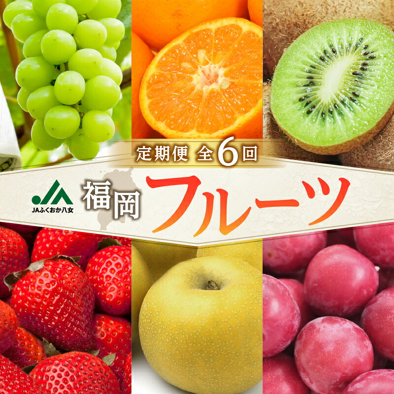 【ふるさと納税】福岡フルーツ定期便【全6回】盛りだくさん果物お届け定期便 JAふくおか八女からお届け！梨 豊水 幸水 シャインマスカット みかん ミカン あまおう いちご 貴陽 すもも キウイ くだもの 人気 旬 高糖度 甘い アフター補償 数量限定 期間限定