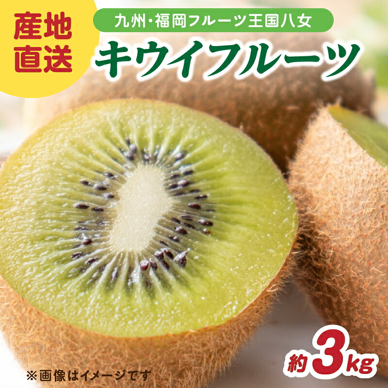 【ふるさと納税】九州・福岡フルーツ王国八女 産地直送キウイフルーツ 約3.0kg【2026年12月発送開始】<配送不可:北海道・沖縄・離島> フルーツ ヘイワード 産地直送 期間限定 福岡県 八女市|福岡県八女市