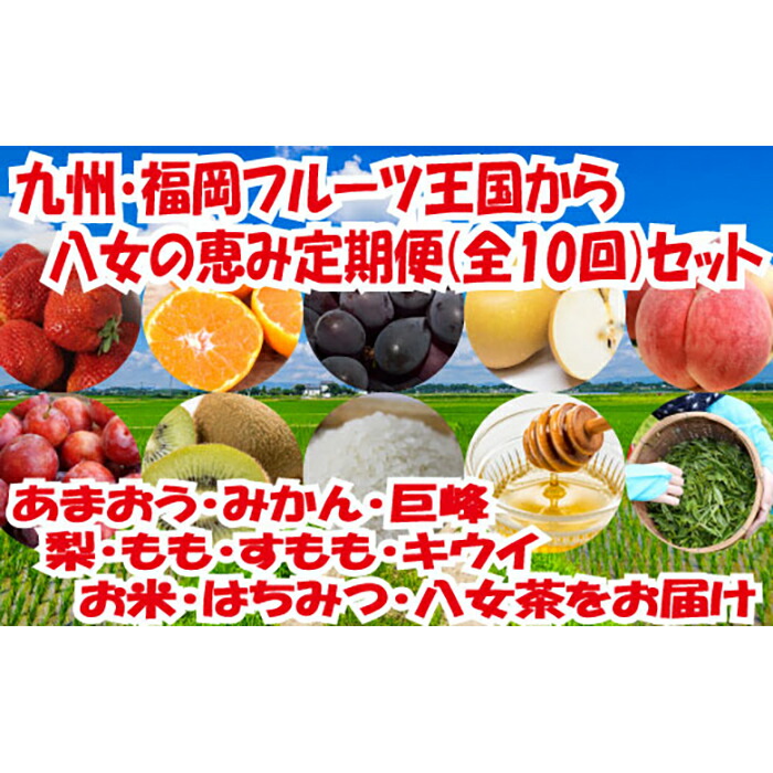 市場 ふるさと納税 旬のフルーツ定期便 フルーツ みかん いちご あまおう 偶数月コース 早味かん 果物 年6回 小玉スイカ 姫の神