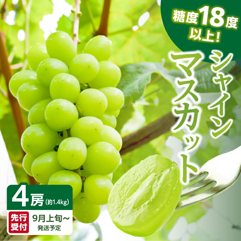 【ふるさと納税】【先行予約】糖度18度以上 シャインマスカット 1.4kg（350g×4パック）【JAふくおか八女】9月上旬～発送予定 マスカット ぶどう 種なし 皮ごと食べられる 糖度18度 高糖度 甘い 厳選 産地直送 新鮮 1.4kg 先行予約 旬 クール便 品質保証 数量限定 福岡 八女
