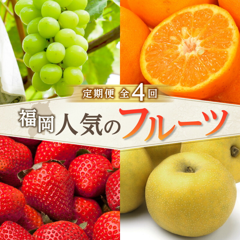 【ふるさと納税】福岡人気のフルーツ定期便【全4回】ふるさと納税で人気のフルーツお届け便　JAふくおか八女からお届け！！ 梨 豊水 幸水 シャインマスカット みかん ミカン あまおう いちご イチゴ 果物 くだもの 旬 高糖度 アフター補償 数量限定 期間限定 福岡県 八女市
