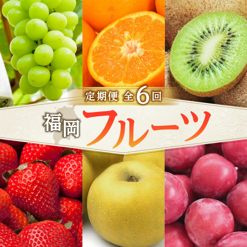 【ふるさと納税】福岡フルーツ定期便【全6回】盛りだくさん果物お届け定期便　JAふくおか八女からお届け！！ 梨 豊水 幸水 シャインマスカット みかん ミカン あまおう いちご 貴陽 すもも キウイ くだもの 人気 旬 高糖度 甘い アフター補償 数量限定 期間限定 産地直送