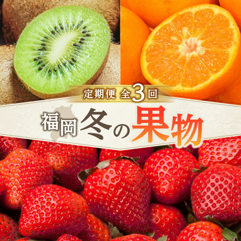 【ふるさと納税】福岡冬の果物定期便【全3回】冬のお届け便　JAふくおか八女からお届け！！ みかん ミカン キウイ あまおう いちご 苺 イチゴ フルーツ 果物 くだもの 人気 旬 福岡県産 アフター補償 数量限定 期間限定 産地直送 全3回 定期便 福岡県 八女市