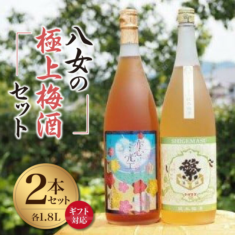 【ふるさと納税】【ギフト対応可】八女の極上梅酒セット｜福岡県八女市
