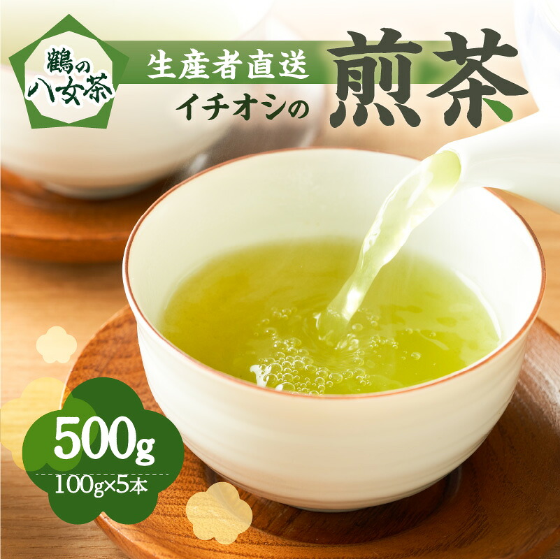【ふるさと納税】鶴の八女茶（イチオシの煎茶） ＜生産者直送＞ 100g×5本 産地直送 産直 お茶 緑茶 本格 国産 人気 真空パック