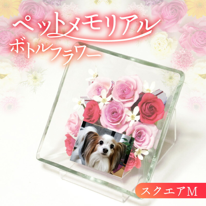 【毎月8日は】八女の日【やめの日】