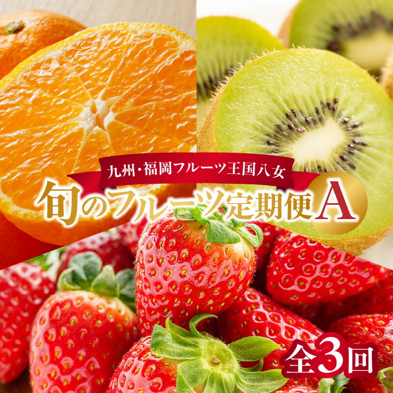 【ふるさと納税】九州・福岡フルーツ王国八女　旬のフルーツ定期便【全３回】 A｜＜配送不可：北海道・沖縄・離島＞ あまおう いちご 苺 イチゴ キウイ みかん ミカン フルーツ 果物 くだもの 人気 旬 デザート 福岡県産 アフター補償 産地直送 福岡県 八女市