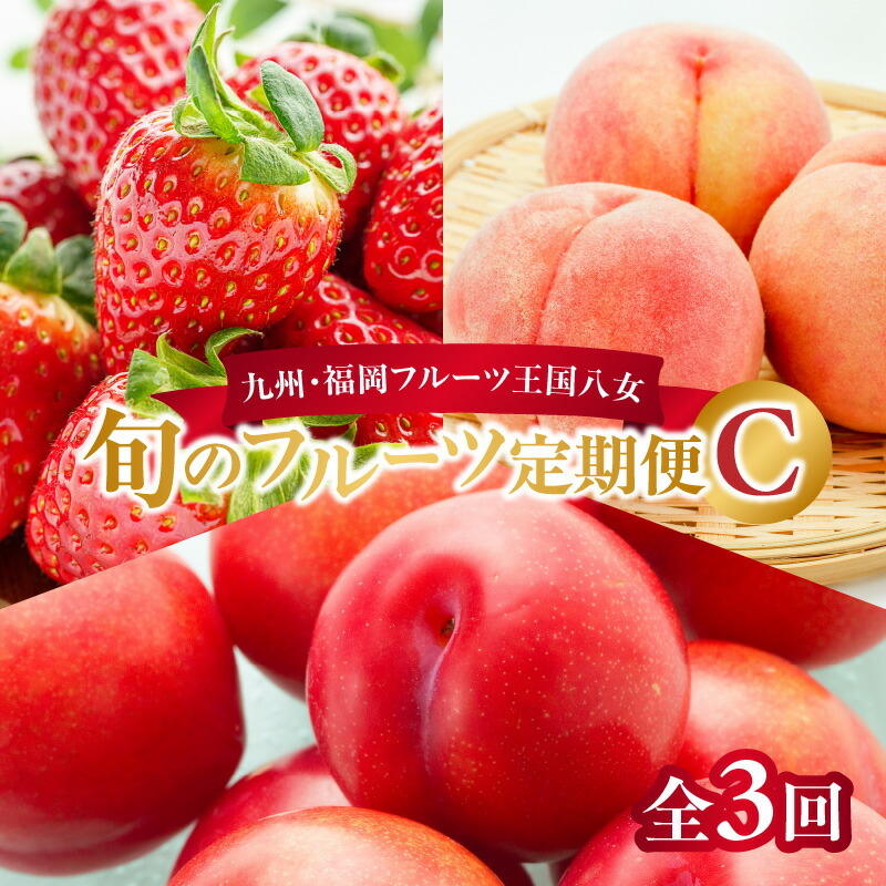 【ふるさと納税】九州・福岡フルーツ王国八女　旬のフルーツ定期便【全３回】 C あまおう いちご 苺イチゴ もも 桃 すもも 果物 フルーツ 定期便 デザート 旬 もぎたて 直送 福岡 八女市