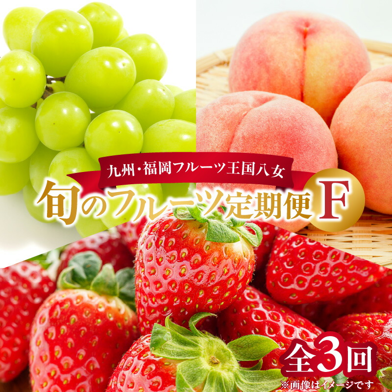 【ふるさと納税】九州・福岡フルーツ王国八女　お楽しみ旬のフルーツ定期便【全３回】 F あまおう 苺 いちご イチゴ シャインマスカット ぶどう もも 桃 モモ 果物 くだもの フルーツ 定期便 デザート 旬 もぎたて 直送 福岡 八女市