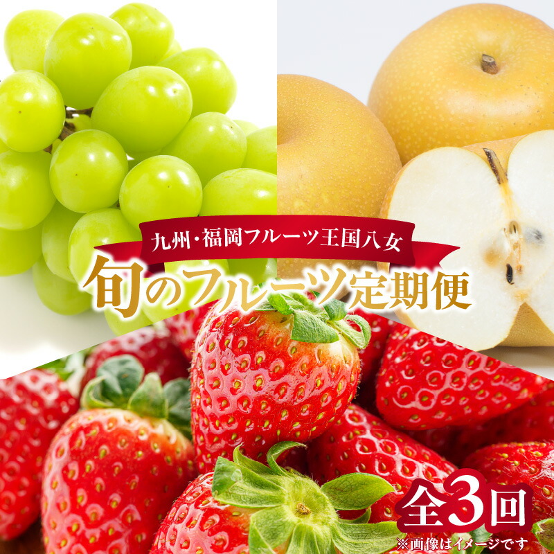 【ふるさと納税】九州・福岡フルーツ王国八女　お楽しみ旬のフルーツ定期便【全３回】 あまおう シャインマスカット 梨 いちご 苺 なし 果物 先行予約
