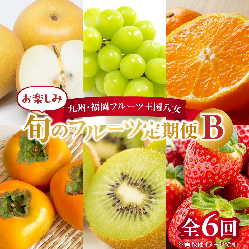 【ふるさと納税】九州・福岡フルーツ王国八女　お楽しみ旬のフルーツ定期便【全６回】Ｂ｜＜配送不可：北海道・沖縄・離島＞ あまおう いちご 苺 イチゴ 梨 なし シャインマスカット みかん 柿 かき キウイ