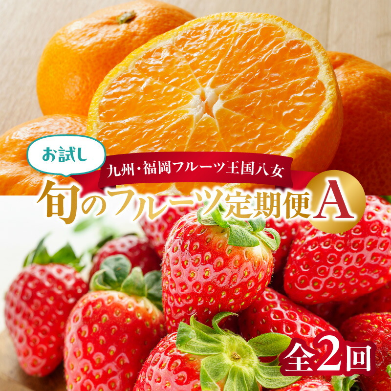 【ふるさと納税】九州・福岡フルーツ王国八女　お試し旬のフルーツ定期便【全２回】 A｜＜配送不可：北海道・沖縄・離島＞あまおう みかん いちご 蜜柑 オレンジ 果物