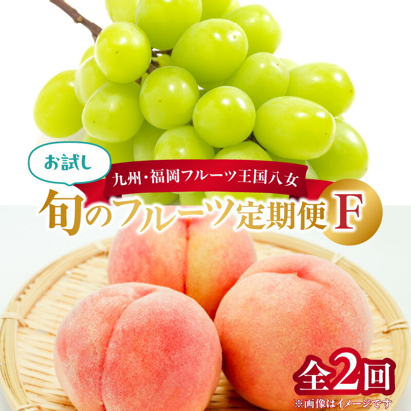 【ふるさと納税】九州・福岡フルーツ王国八女　お試し旬のフルーツ定期便【全２回】 F＜配送不可：北海道・沖縄・離島＞ 桃 シャインマスカット もも 果物 先行予約