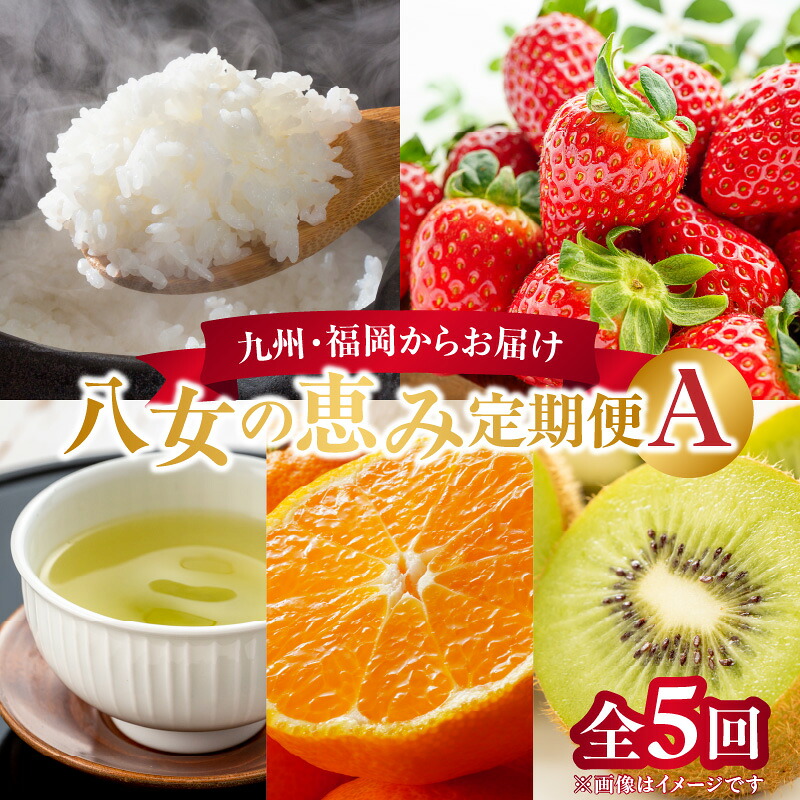 【ふるさと納税】九州・福岡からお届け！八女の恵み定期便【全5回】 A 米 お米 いちご あまおう 新茶 お茶 茶 日本茶 みかん ミカン 蜜柑 キウイ フルーツ 旬 デザート 産地直送
