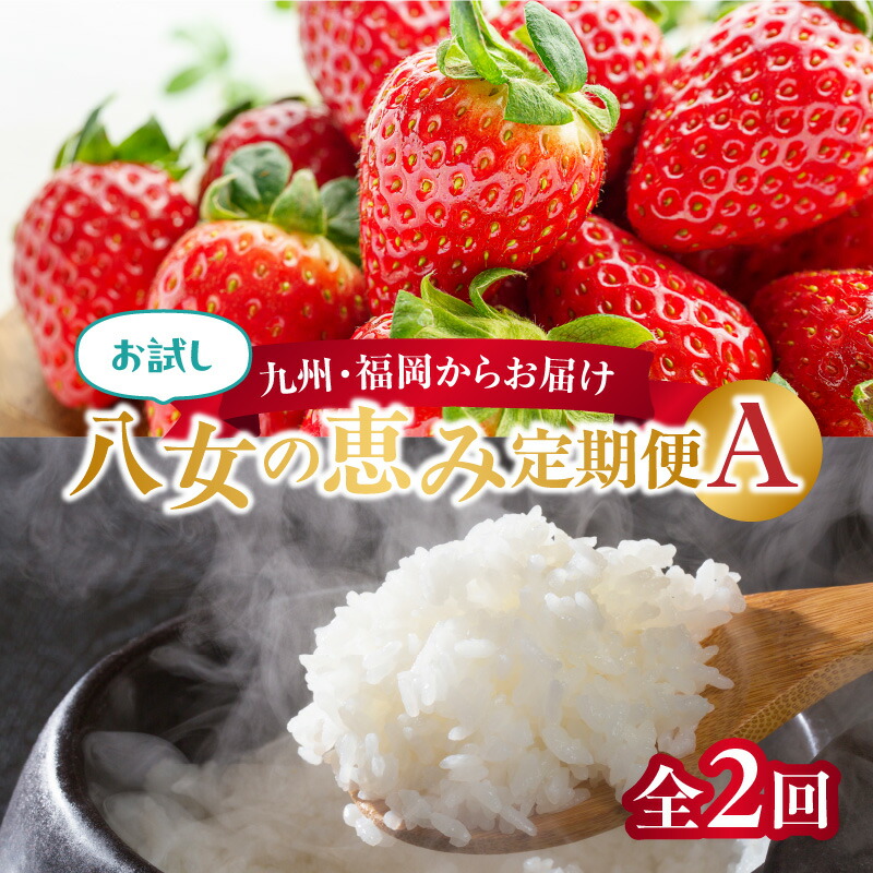 【ふるさと納税】九州・福岡からお届け!八女の恵み定期便お試し【全2回】A|福岡県八女市