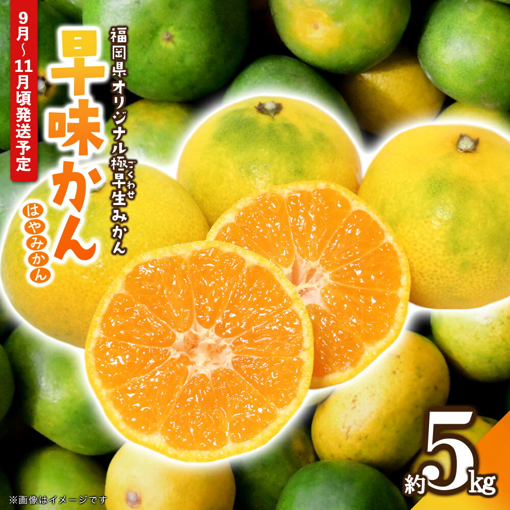 楽天市場】【ふるさと納税】たけのこ水煮セット｜【50セット限定