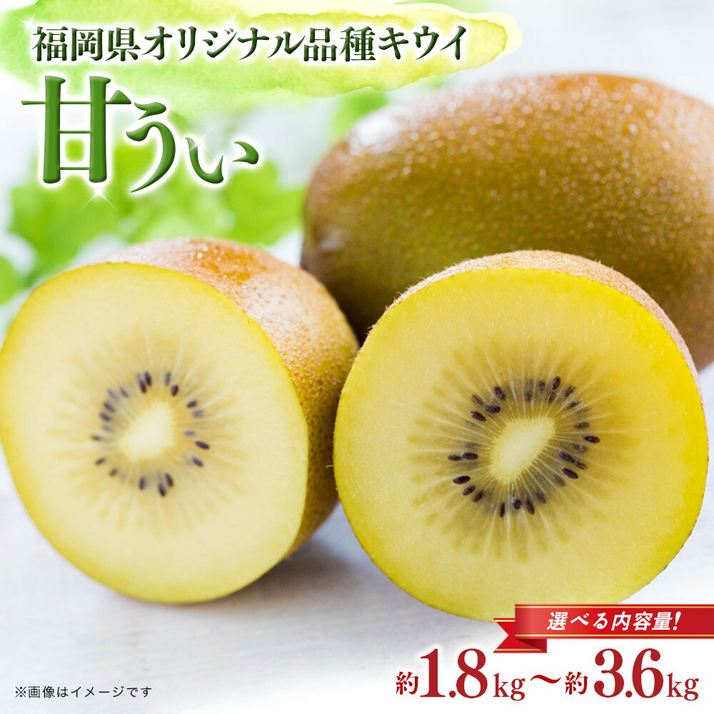 【ふるさと納税】【先行受付：2025年11月頃発送開始】選べる内容量！福岡限定品種キウイ「甘うぃ」約1.8kg～約3.6kg＜配送不可：北海道・沖縄・離島＞ 先行受付 キウイ キウイフルーツ フルーツ 果物 くだもの 甘い 高糖度 希少 オリジナル品種 新品種 新ブランド 全国1位