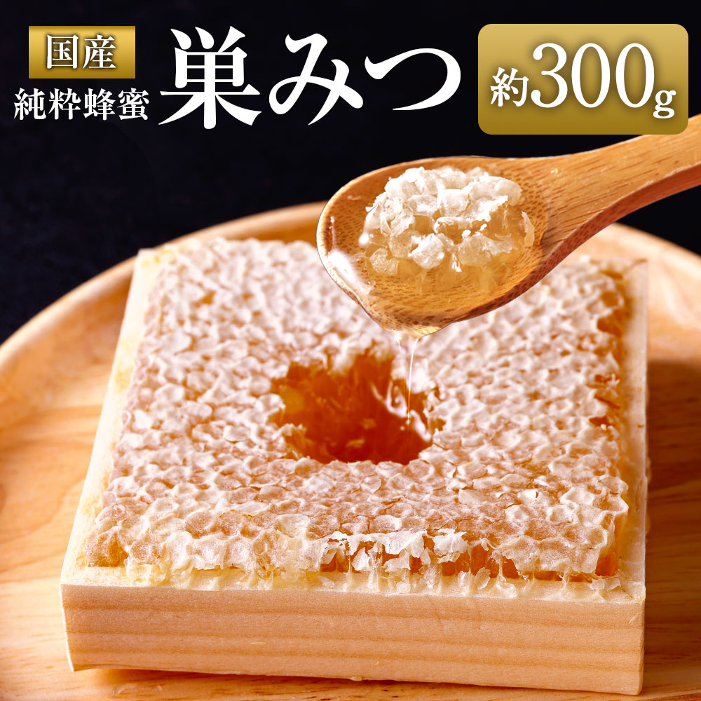 【ふるさと納税】 ★先行受付★【2025年7月より順次発送】国産純粋 巣みつ 300ｇ（九州蜂の子本舗）蜂蜜 はちみつ ハチミツ 国産 デザート ビタミン ミネラル
