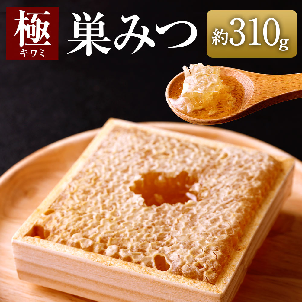 【ふるさと納税】★先行受付★【2025年7月より順次発送】「極（キワミ)巣みつ」 蜜蜂が巣に貯蔵したままの蜂蜜です 310ｇ 巣蜜 蜂蜜 はちみつ ハチミツ 国産 極上 自然 木箱