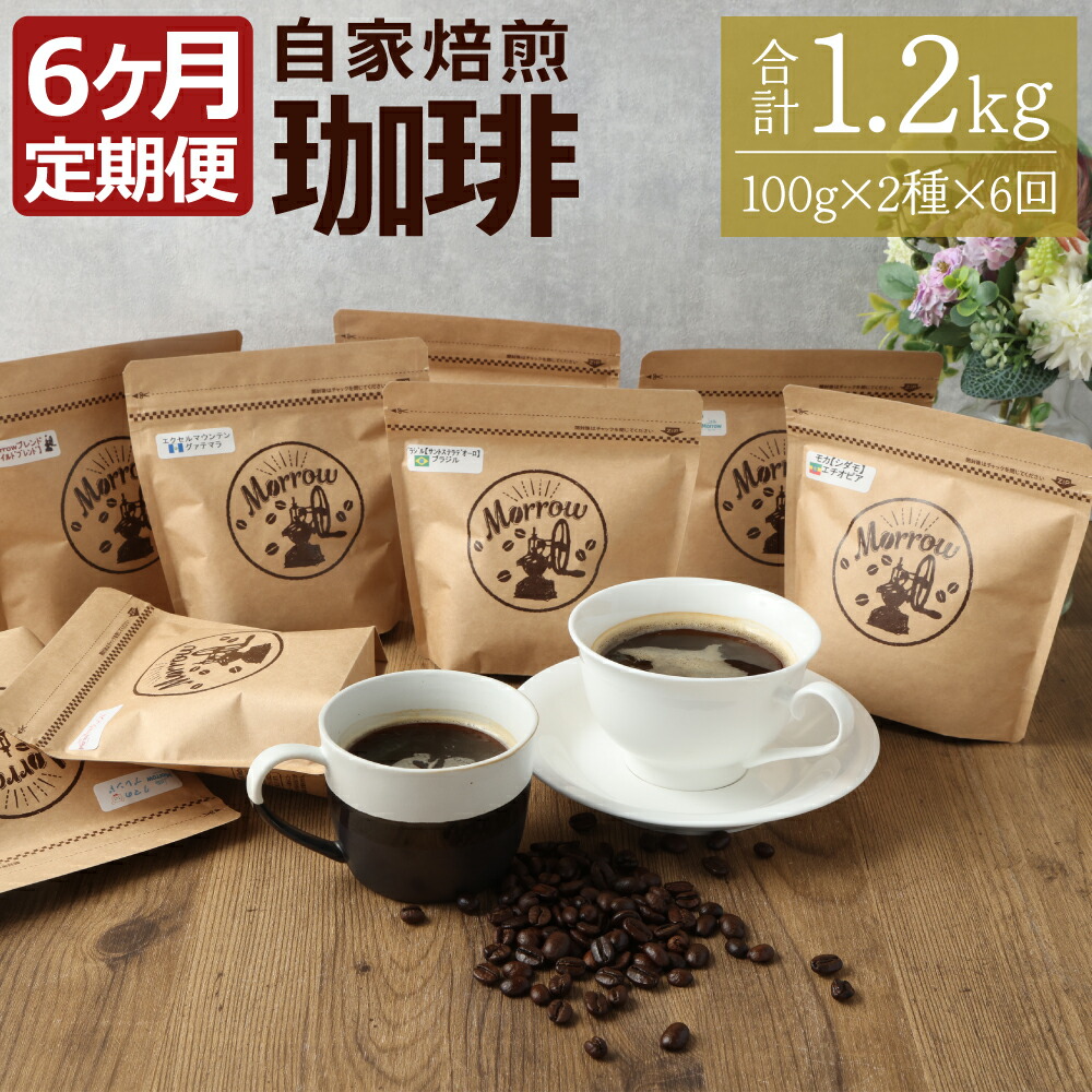 【ふるさと納税】【限定価格】【定期便6ヶ月】自家焙煎 珈琲 Little Morrow 6ヶ月 100g×2種×6回 合計1200g コーヒー 珈琲豆 ブレンド ブレンドコーヒー 福岡県 筑後市 送料無料