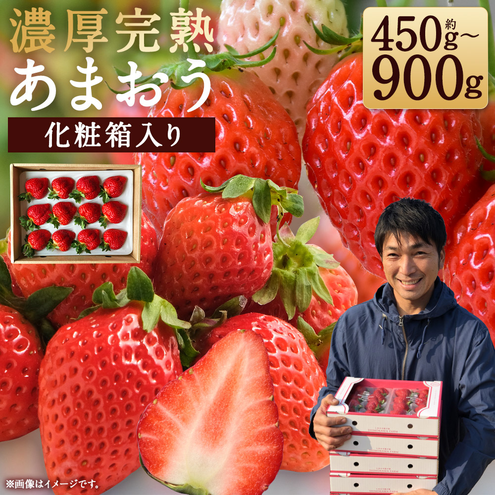 楽天市場】【ふるさと納税】特別栽培の濃厚完熟あまおう 約500g/約1kg