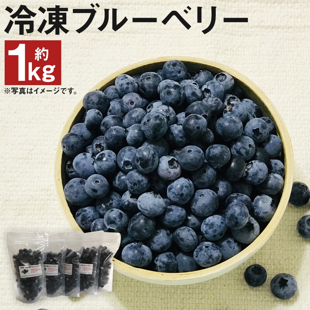 【ふるさと納税】冷凍ブルーベリー 約200g×5パック 合計約1kg 小分け ブルーベリー 果物 フルーツ 福岡県産 筑後市産 九州産 冷凍 送料無料【2025年8月上旬より順次発送予定】