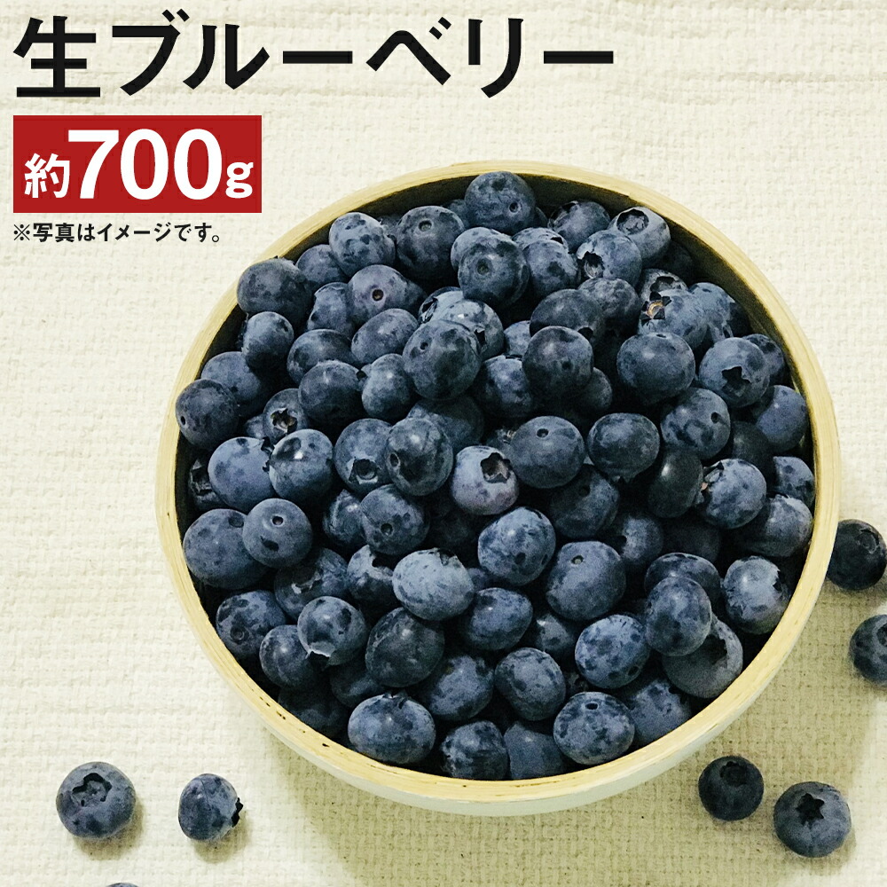 【ふるさと納税】生ブルーベリー 約350g×2パック 合計約700g ブルーベリー 果物 フルーツ 福岡県産 筑後市産 九州産 冷蔵 送料無料【2025年7月上旬～8月下旬に順次発送予定】