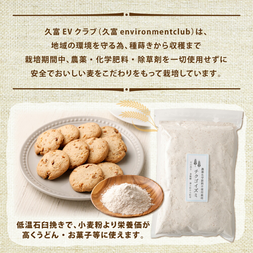 絶品】 チクゴイズミ 全粒粉 500g×8個 合計4kg 粉 薄力粉 中力粉 うどん作り お菓子作り 栽培期間中農薬不使用 九州産 福岡県産 国産  送料無料 fucoa.cl