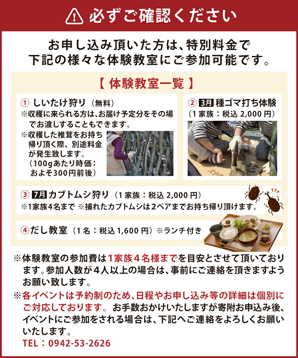 市場 ふるさと納税 約600g×2回 定期便計2回 肉厚 原木しいたけ 椎茸