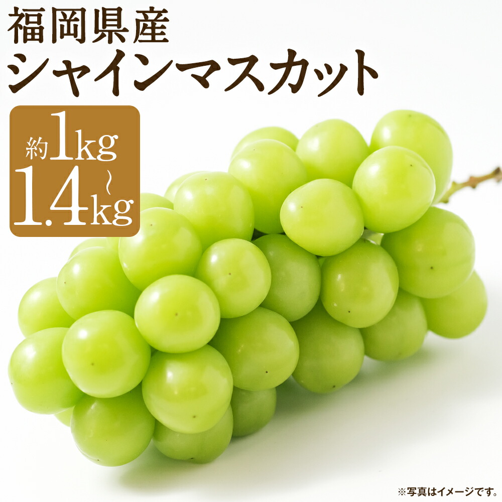 【ふるさと納税】先行予約 福岡県産 シャインマスカット約1kg/約1.4kg 選べる内容量 1パック約350g 産地直送 ぶどう 産地直送 約1kg 筑後市 果物 フルーツ 九州産 冷蔵 送料無料 【2025年8月上旬～9月下旬に順次発送予定】